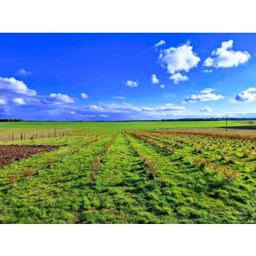 Sprzedam dom Storkowo - ,  pow.  460 m2,  działka:   59 600 m2 - zdjęcie 2