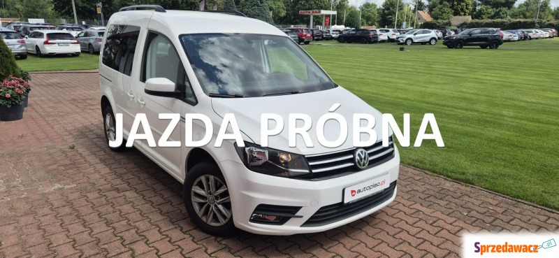 Volkswagen Caddy  Minivan/Van 2019,  2.0 diesel - Na sprzedaż za 42 800 zł - Paproć