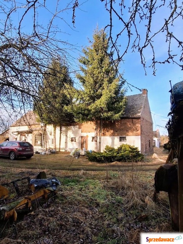 Sprzedam dom Sierakowo - ,  pow.  246 m2,  działka:   5149 m2