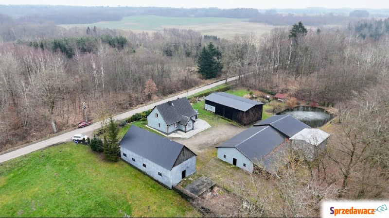 Sprzedam dom Godzisław -  jednopiętrowy,  pow.  100 m2,  działka:   7755 m2