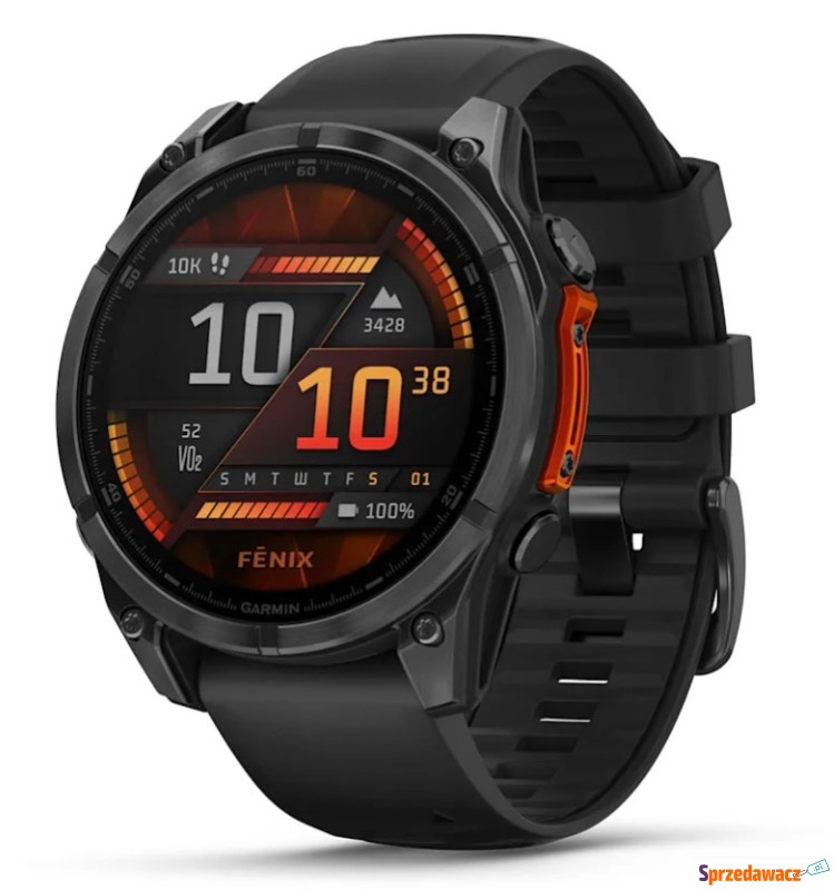 Garmin Fenix 8 AMOLED 47mm Slate...