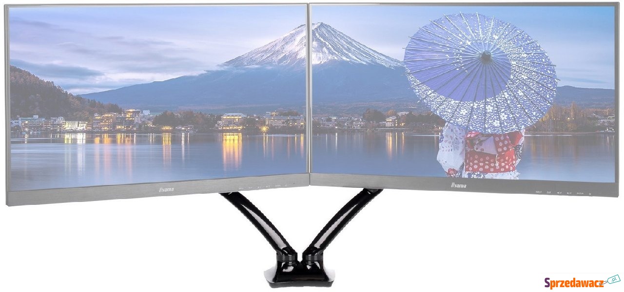 iiyama DS3002C-B1 dual