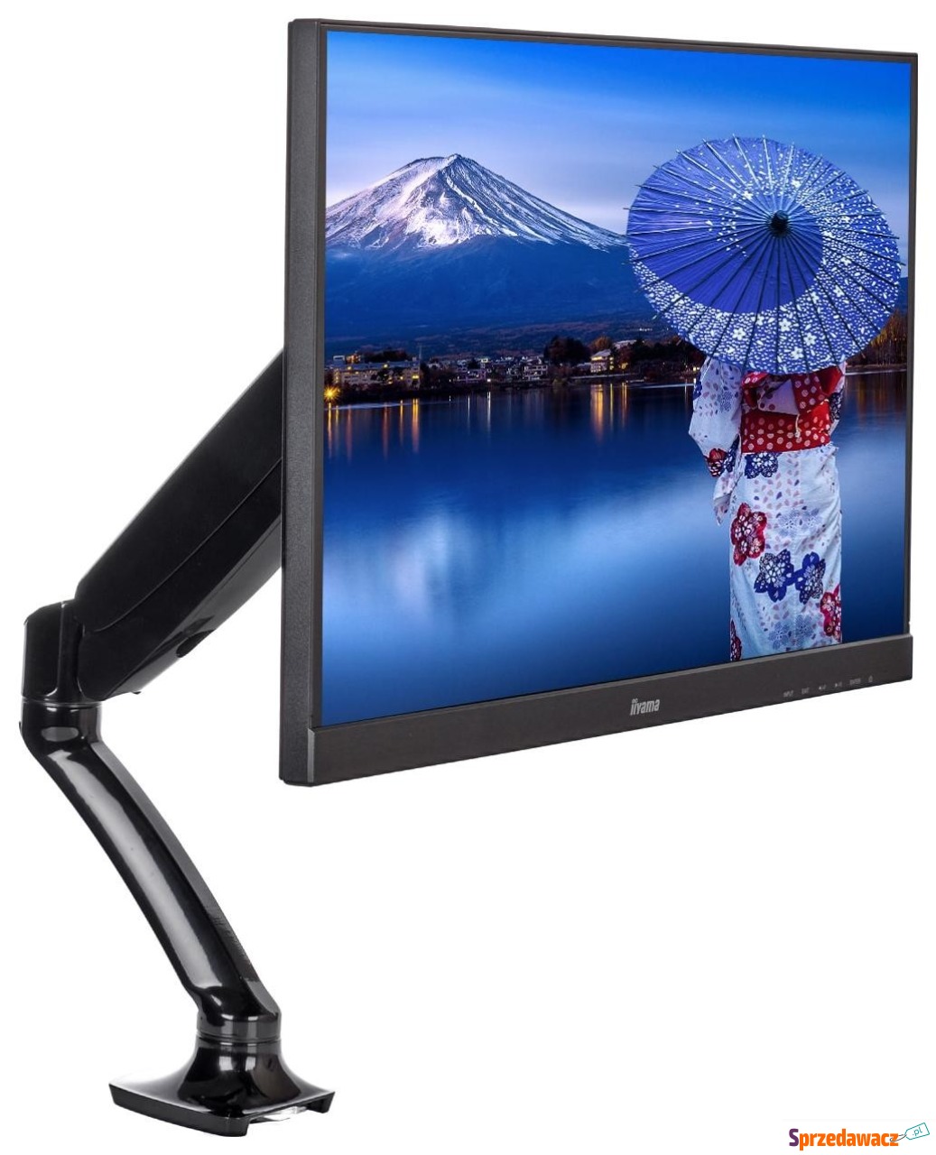 iiyama DS3001C-B1