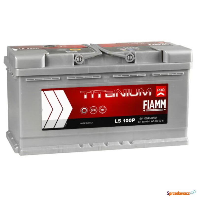 Akumulator FIAMM 12V 100Ah 870A