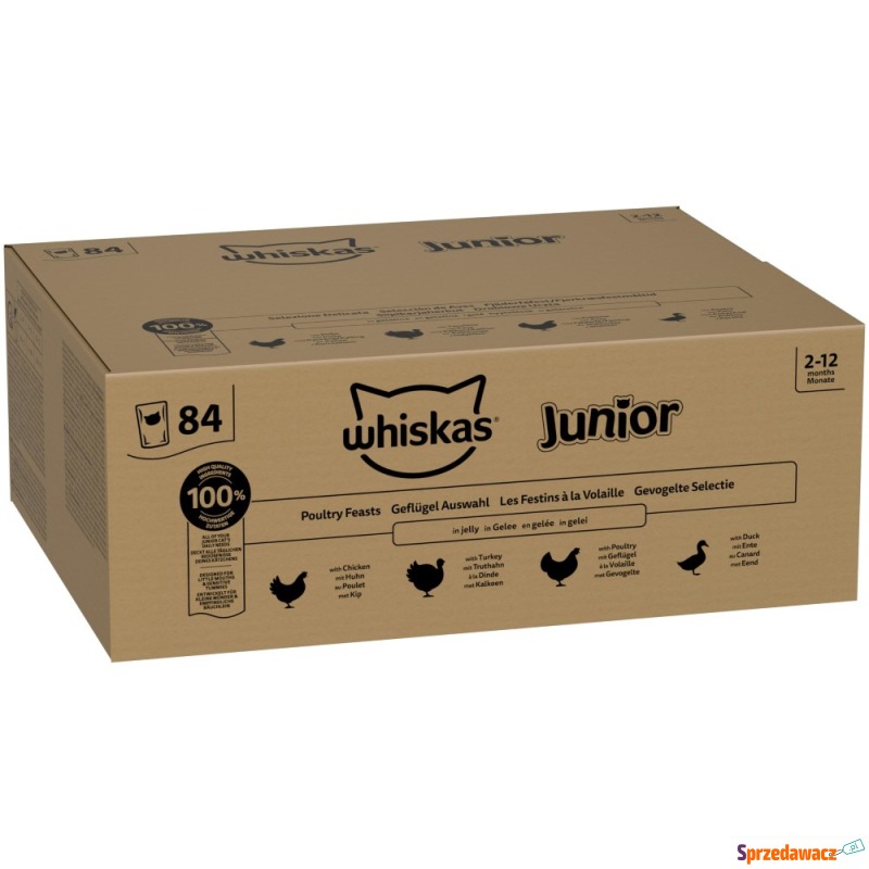 Megapakiet Whiskas Junior w sa...