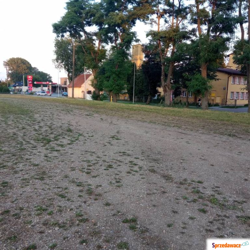 Działka  na wynajem, 5000m², Z...