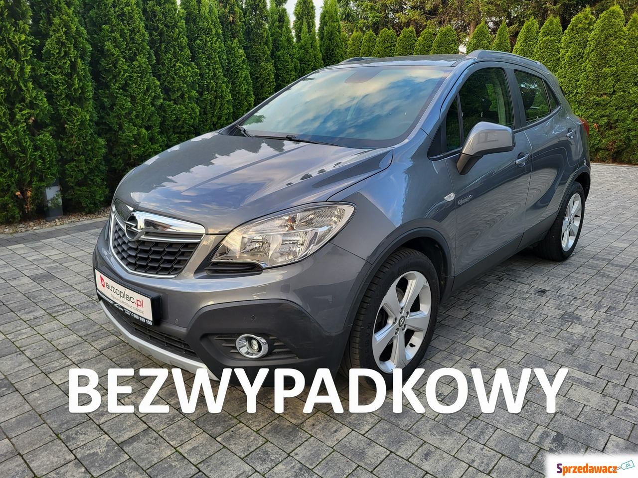 Opel Mokka 2013