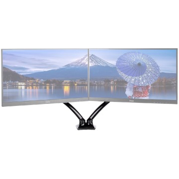 iiyama DS3002C-B1 dual