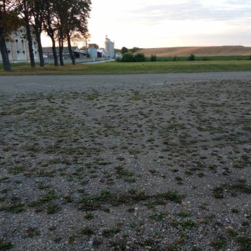 Działka Zarzecze wydzierżawię, pow. 5000 m2  (50a) - zdjęcie 4