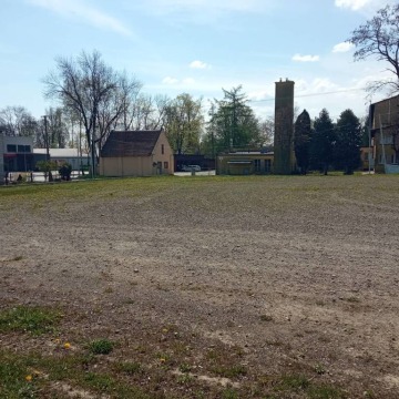 Działka Zarzecze wydzierżawię, pow. 5000 m2  (50a) - zdjęcie 6
