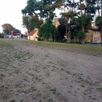 Działka Zarzecze wydzierżawię, pow. 5000 m2  (50a) - zdjęcie 1