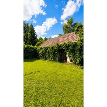 Sprzedam dom Mosina -  wolnostojący jednopiętrowy,  pow.  250 m2,  działka:   6600 m2 - zdjęcie 3