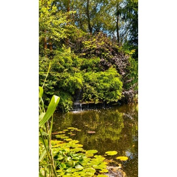 Sprzedam dom Mosina -  wolnostojący jednopiętrowy,  pow.  250 m2,  działka:   6600 m2 - zdjęcie 2