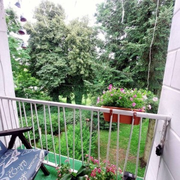 Mieszkanie trzypokojowe Pasłęk,   56 m2 - Sprzedam - zdjęcie 3