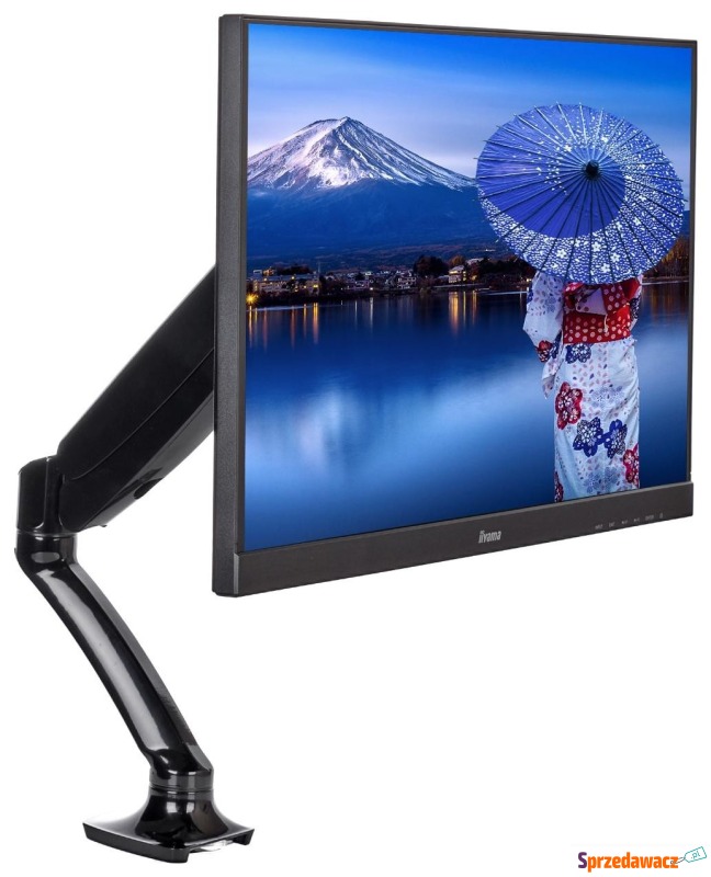 iiyama DS3001C-B1 - Uchwyty do telewizorów - Szczecinek