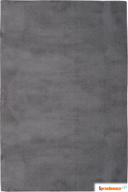 Dywan Cha Cha 60 x 110 cm szary - Dywany, chodniki - Częstochowa