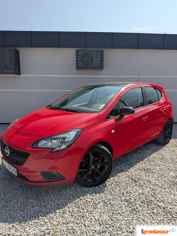 Opel Corsa  Hatchback 2019,  1.4 benzyna - Na sprzedaż za 35 900 zł - Miękinia
