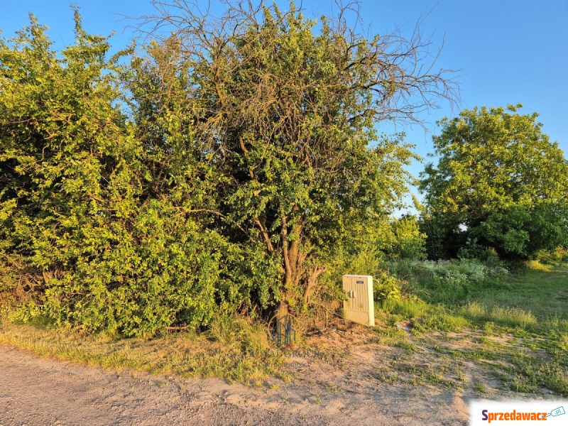 Działka Lublin sprzedam, pow. 5592 m2  (55.9a), uzbrojona