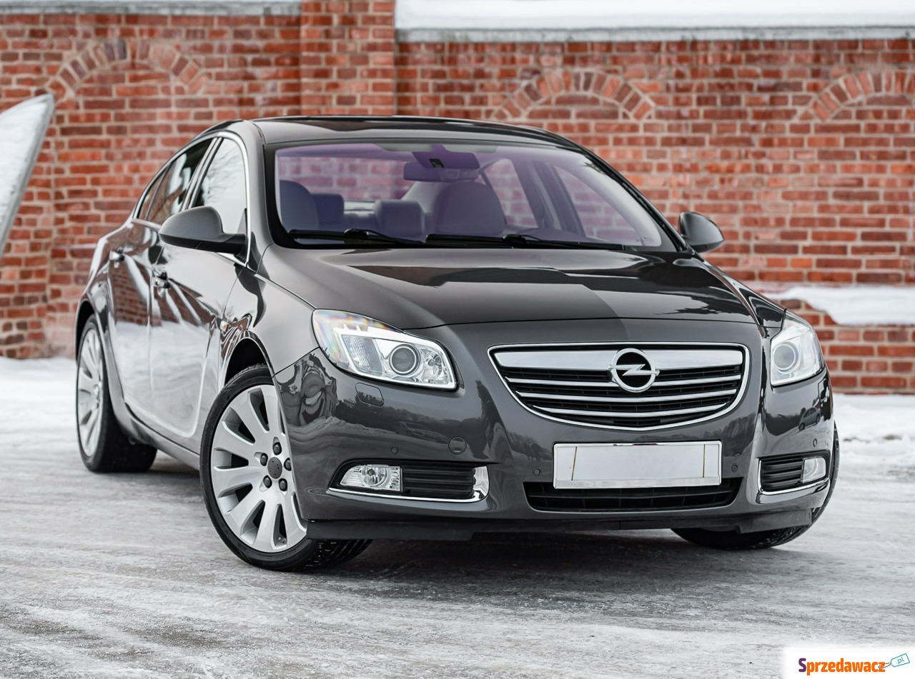 Opel Insignia 2010