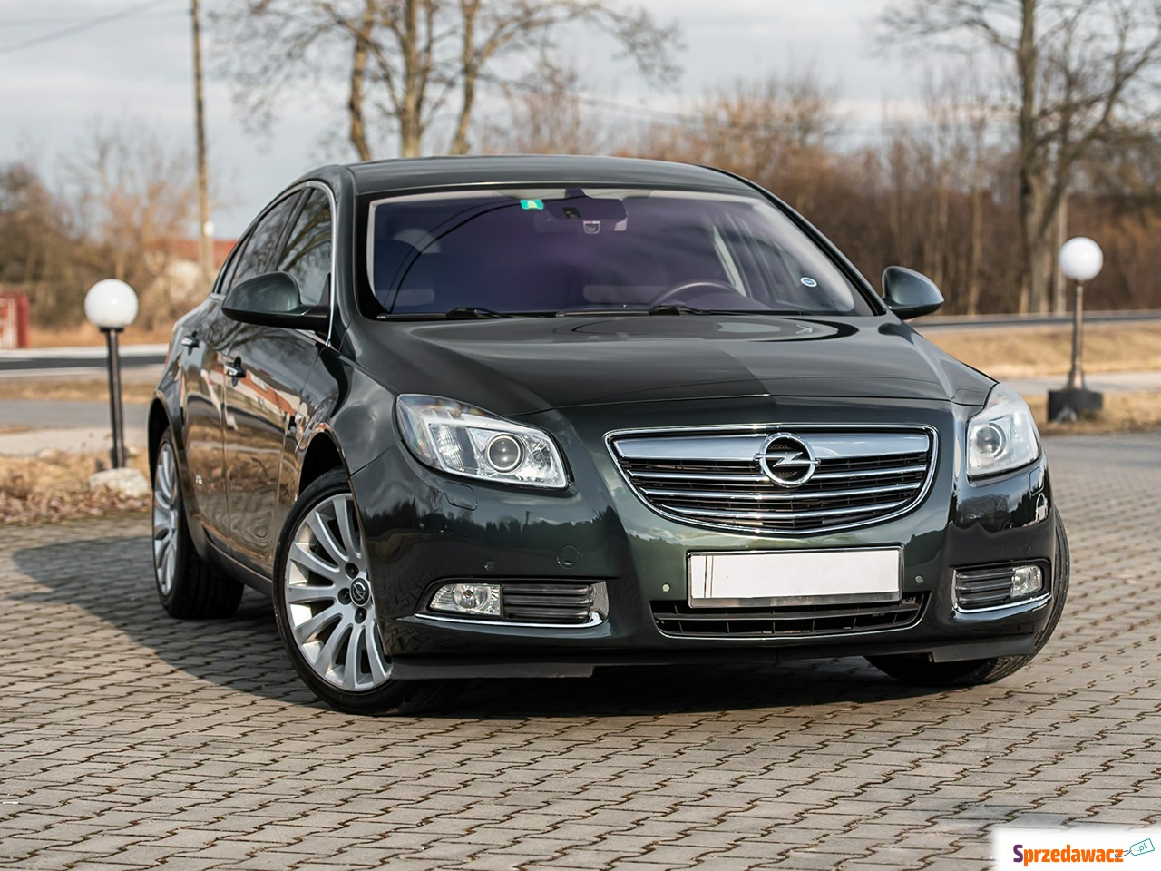 Opel Insignia 2010