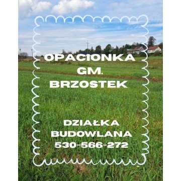 Opacionka działka budowlana 13 ar