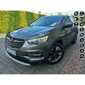 Opel Grandland X - Benz Ledy ParkAssist Pół-Skóry Duża Navi Elektr.Klapa 100%Bezwypadkowy