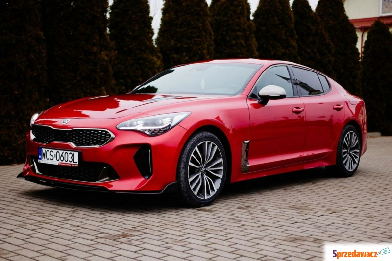 Kia Stinger  Liftback 2019,  2.2 diesel, automat - Na sprzedaż za 89 999 zł - Rzekuń