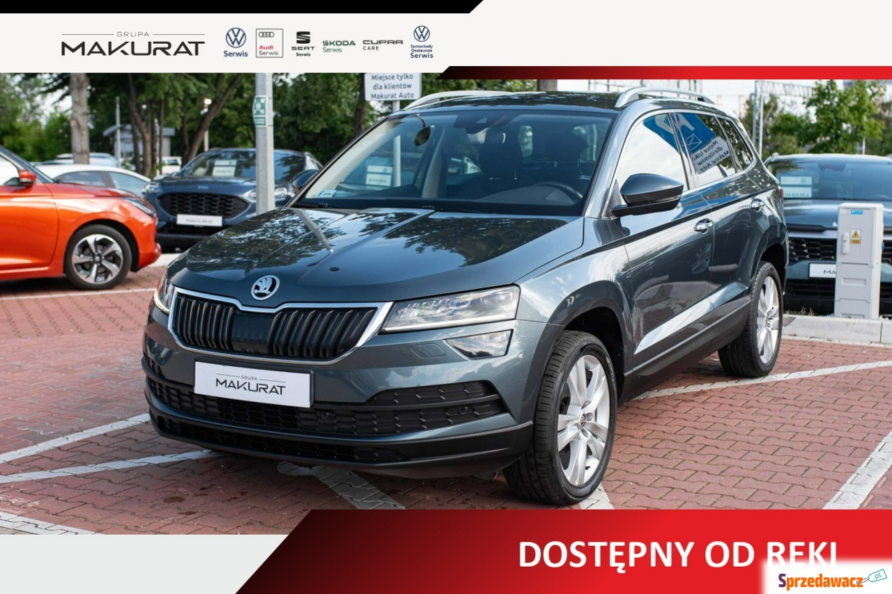 Skoda Karoq 2019