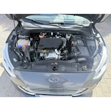 Ford Focus  Hatchback 2019,  1.5 diesel - Na sprzedaż za 37 900 zł - Zielona Łąka - zdjęcie 10
