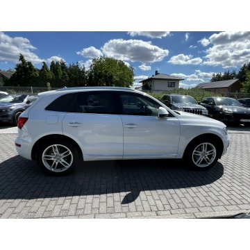 Audi Q5  SUV 2017,  2.0 benzyna, automat - Na sprzedaż za 59 000 zł - Baranowo - zdjęcie 9