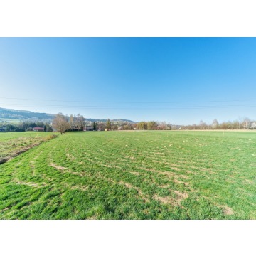 Działka budowlana Gilowice sprzedam, pow. 1101 m2  (11a) - zdjęcie 5