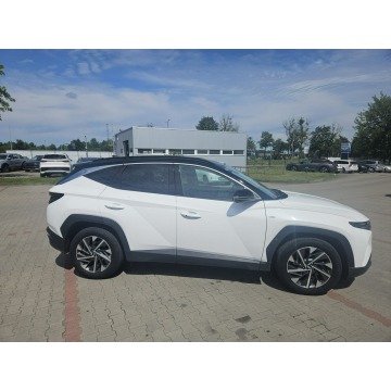 Hyundai Tucson  SUV 2024,  1.6 benzyna, automat - Na sprzedaż za 115 000 zł - Piła - zdjęcie 2