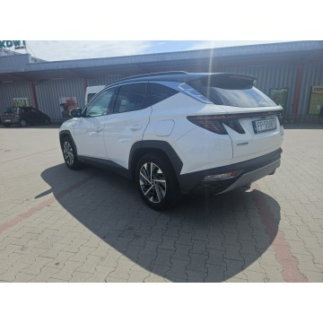 Hyundai Tucson  SUV 2024,  1.6 benzyna, automat - Na sprzedaż za 115 000 zł - Piła - zdjęcie 3