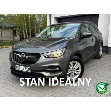 Opel Grandland X  SUV 2018,  1.2 benzyna - Na sprzedaż za 37 700 zł - Kotarwice - zdjęcie 1