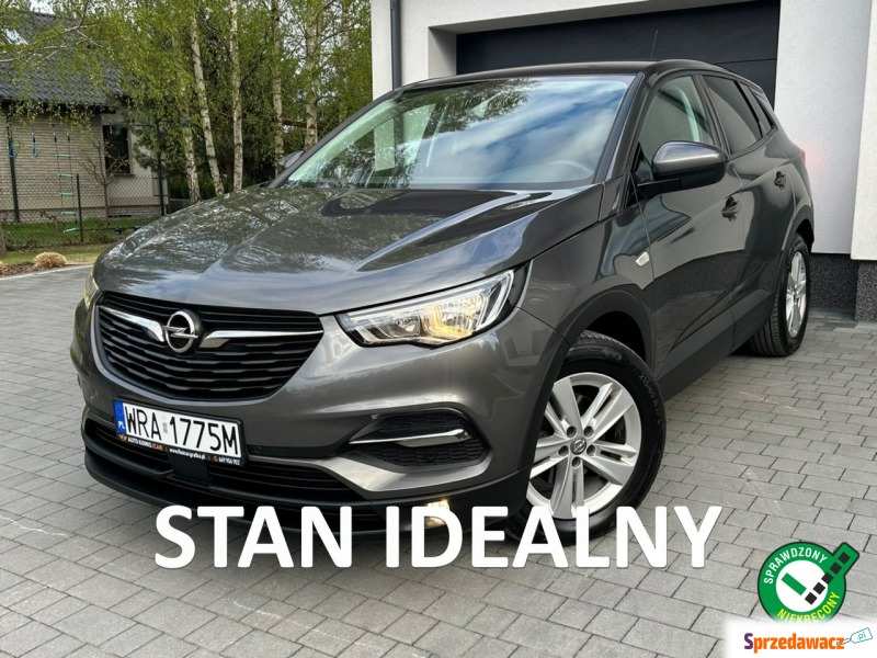 Opel Grandland X  SUV 2018,  1.2 benzyna - Na sprzedaż za 37 700 zł - Kotarwice