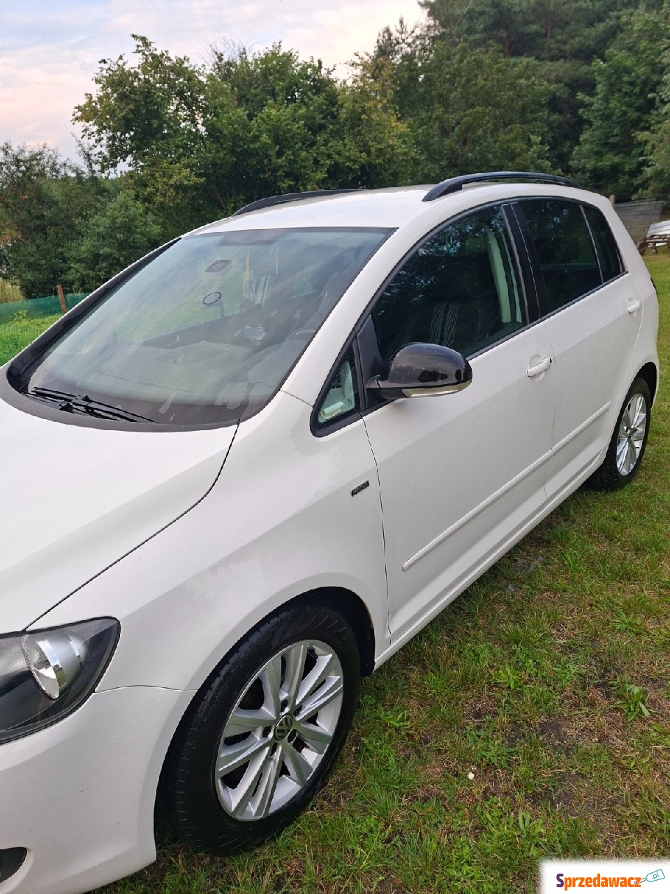 Volkswagen Golf Plus 2012