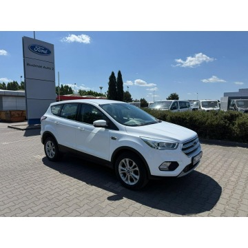 Ford Kuga  SUV 2019,  1.5 benzyna, automat - Na sprzedaż za 45 900 zł - Gąsocin - zdjęcie 2