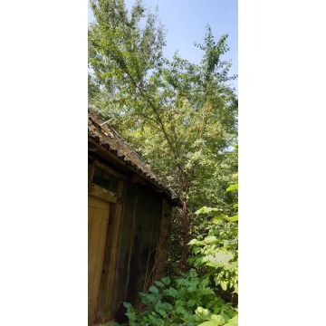 Obiekt na sprzedaż - Pozostałe nieruchomości - Topolany - zdjęcie 7