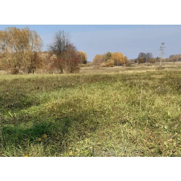 Obiekt na sprzedaż - Pozostałe nieruchomości - Topolany - zdjęcie 2