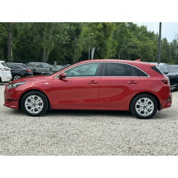 Kia Ceed  Hatchback 2023,  1.5 benzyna, automat - Na sprzedaż za 69 900 zł - Pęcice - zdjęcie 4