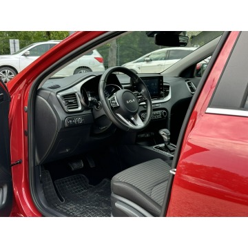 Kia Ceed  Hatchback 2023,  1.5 benzyna, automat - Na sprzedaż za 69 900 zł - Pęcice - zdjęcie 11