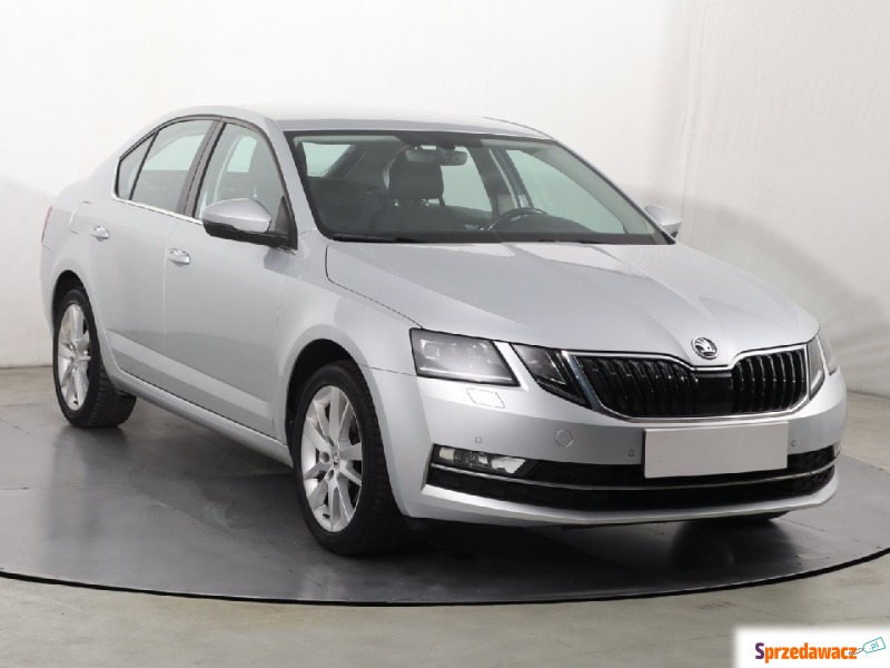 Skoda Octavia  Hatchback 2019,  1.5 benzyna, automat - Na sprzedaż za 56 999 zł - Katowice