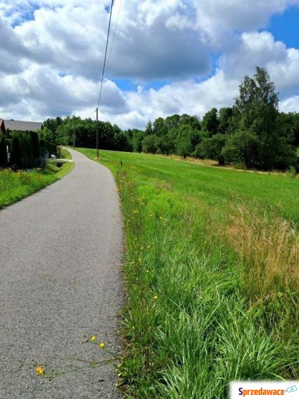 Działka budowlana Tworkowa sprzedam, pow. 1110 m2  (11.1a)