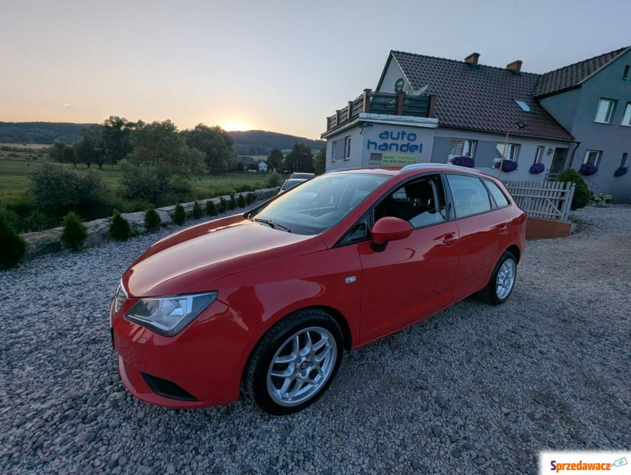 Seat Ibiza 2014