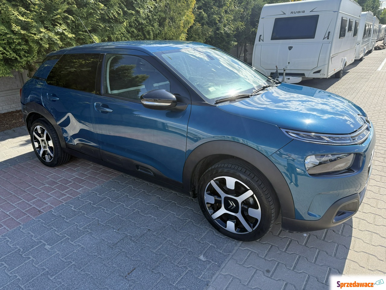 Citroen C4 Cactus 2020
