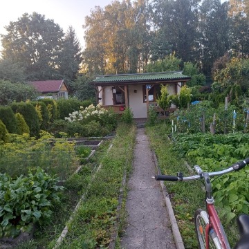 Działka rekreacyjna Łódź - Widzew sprzedam, pow. 250 m2  (2.5a), uzbrojona - zdjęcie 2