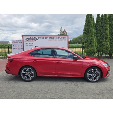 Skoda Octavia  Hatchback 2023,  2.0 benzyna, automat - Na sprzedaż za 95 900 zł - Nasiegniewo - zdjęcie 4