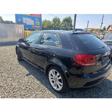 Audi A3  Hatchback 2010,  1.6 diesel - Na sprzedaż za 8 900,00 zł - Pogwizdów - zdjęcie 3