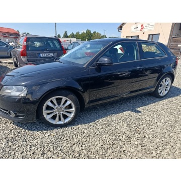 Audi A3  Hatchback 2010,  1.6 diesel - Na sprzedaż za 8 900,00 zł - Pogwizdów - zdjęcie 2