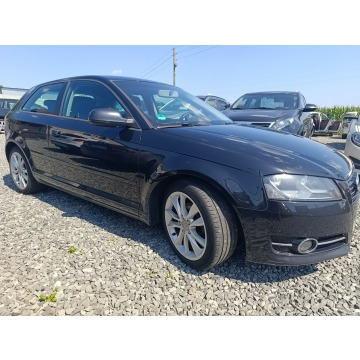 Audi A3  Hatchback 2010,  1.6 diesel - Na sprzedaż za 8 900,00 zł - Pogwizdów - zdjęcie 6